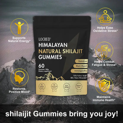Pure Himalayan Shilajit Gummies with Ashwagandha, Ginger, Turmeric, Ginseng, 60 Count Each DEZEN