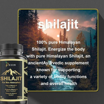 DEZEN Pure Himalayan Shilajit & Krill Oil Softgels with Omega 3 DEZEN