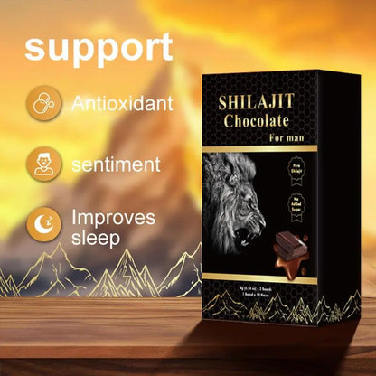 DEZEN Organic Shilajit Chocolate with Ashwagandha, Honey, 12 Pcs Each DEZEN