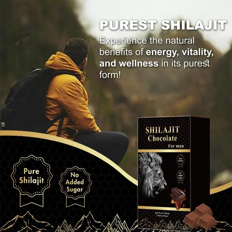 DEZEN Organic Shilajit Chocolate with Ashwagandha, Honey, 12 Pcs Each DEZEN