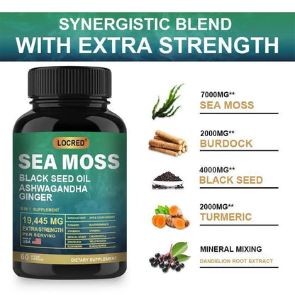 Sea Moss and Shilajit | Combo Pack Pure Himalayan Shilajit and Organic Sea Moss Capsule DEZEN
