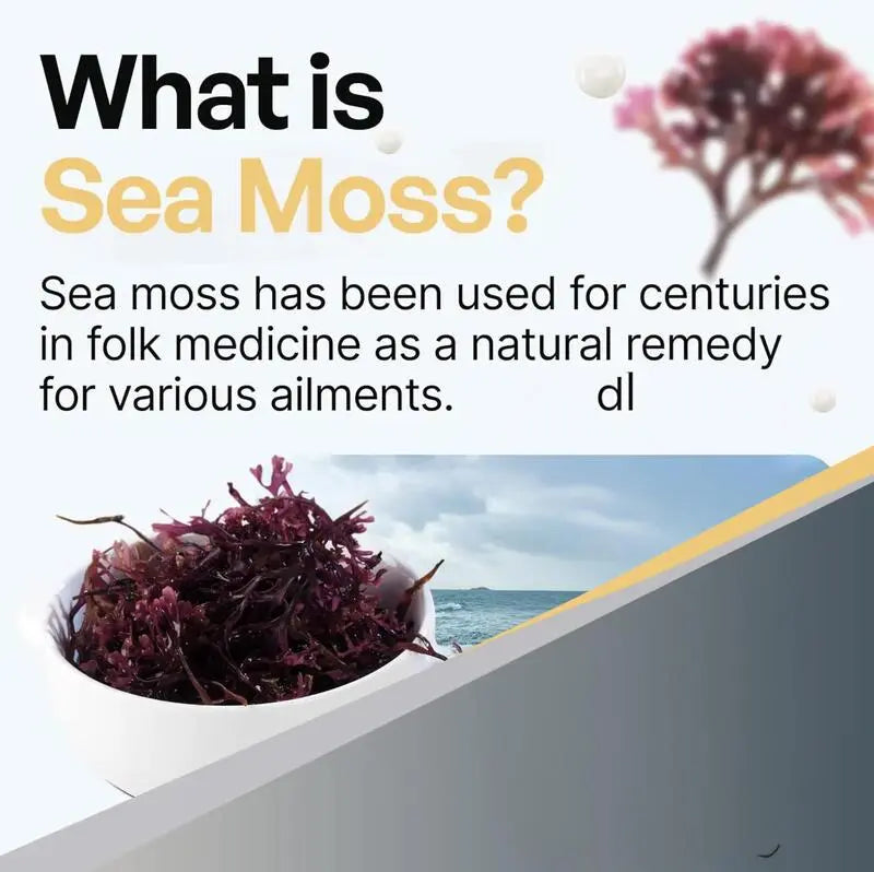 Organic Sea Moss Capsules with Black Seed Oil | Bladderwrack Turmeric | Vitamins C and D3 DEZEN